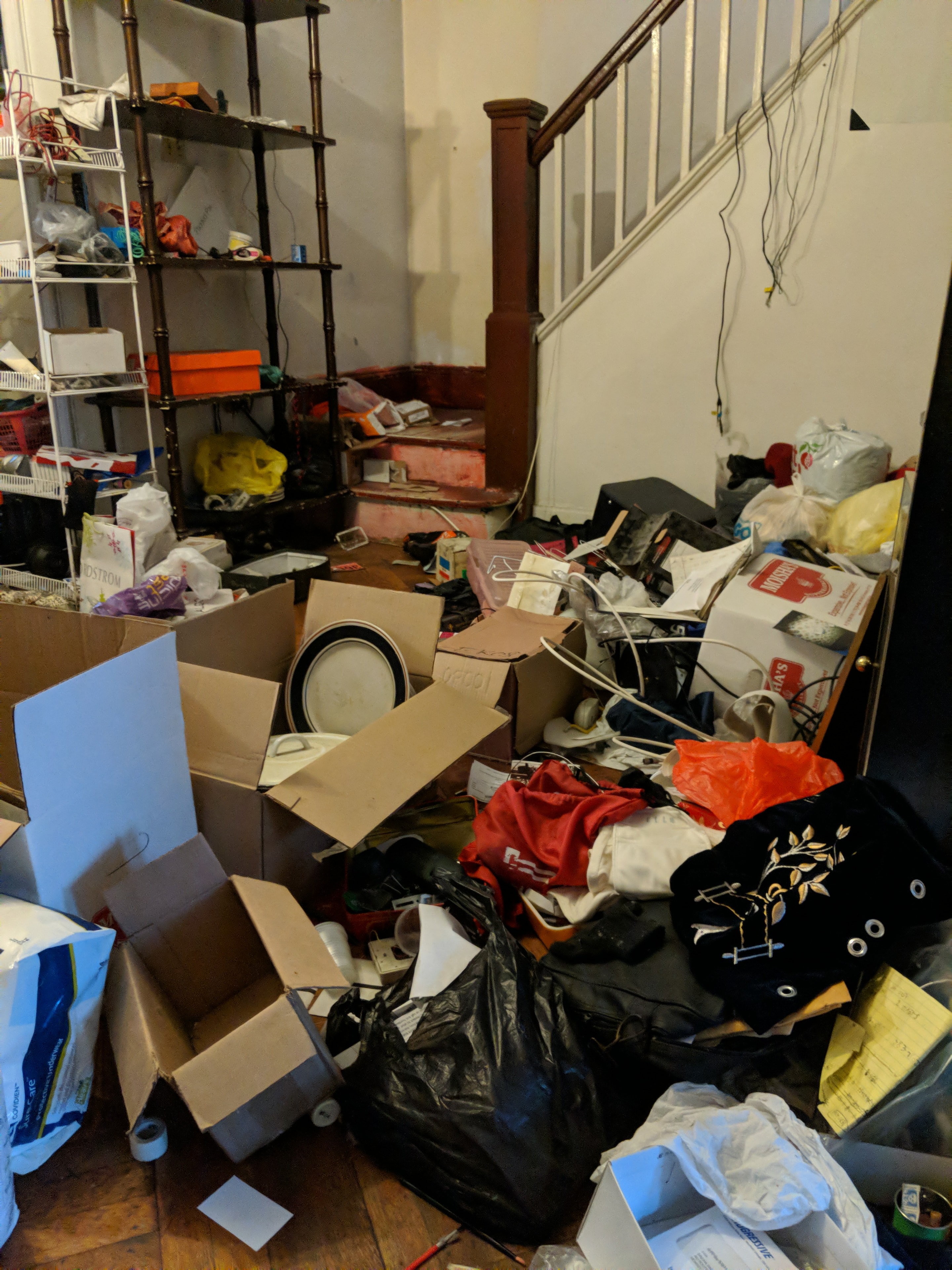 Brooklyn Living Room — before renovation